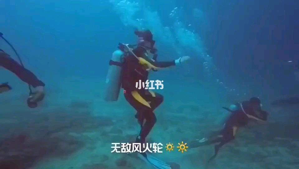探索春节古诗词的100首,发现更多有趣内容